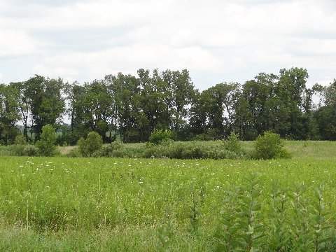 West Ontario